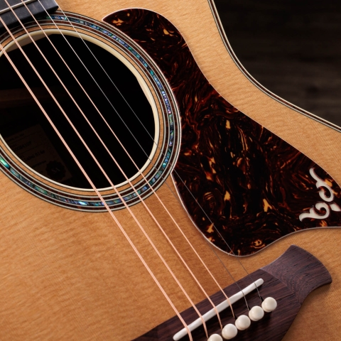 2024年の新アコースティックギター | Taylor Guitars